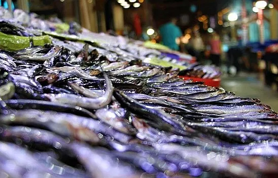 Av sezonu açıldı, balıklar tezgahlardaki yerini aldı