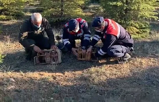 Av yasağı tanımayan kaçak avcılara ceza