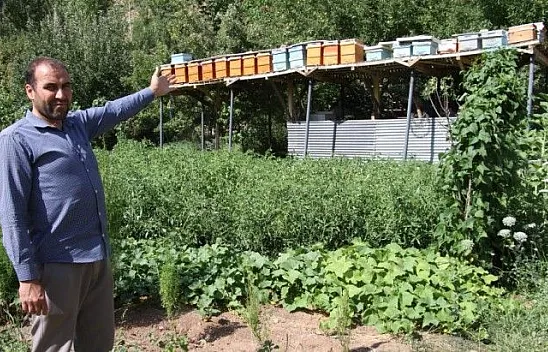 Ayılar balını yiyince çareyi bakın nasıl buldu