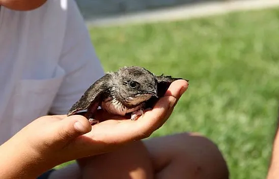 Baba ve oğlundan örnek davranış