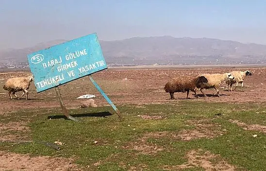 Baraj sahasını eken çiftçileri 'yağış' endişesi sardı