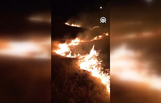 Baskil'de kayısı bahçesinde yangın