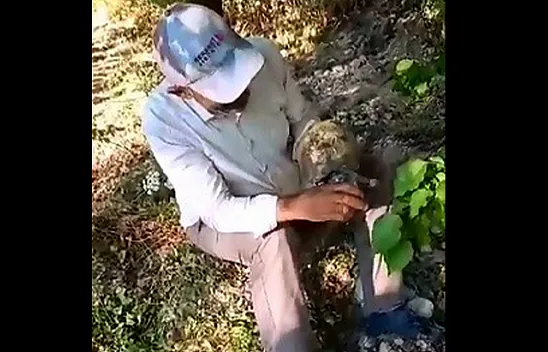 Bitkin halde buldu bardakla su içirdi