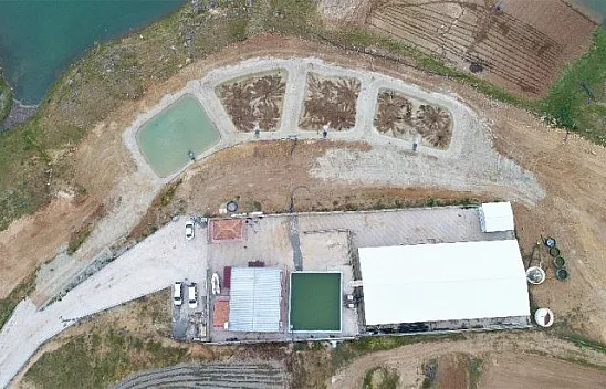 Bölgenin en büyük AR-GE tesisinde, balıklar üretime alınıyor