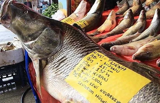 Böylesi daha önce hiç görülmedi