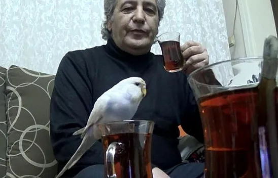Çay içerken sahibine eşlik ediyor
