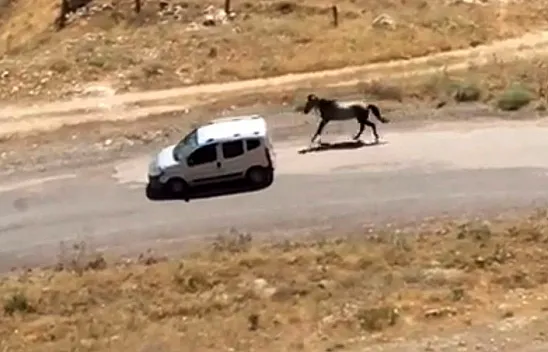 Bu görüntüler pes dedirtti!