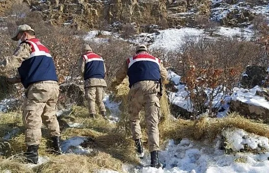 Dağ keçilerinin görüldüğü yerlere jandarmadan yem desteği