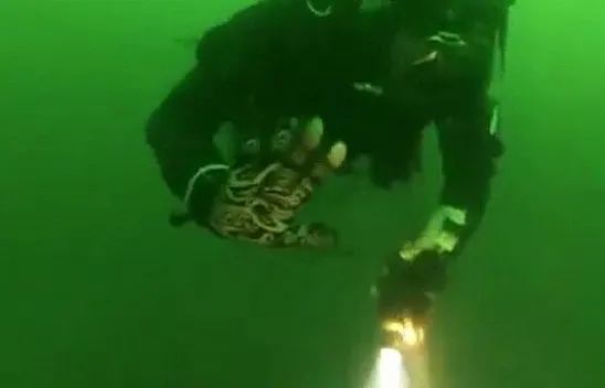 Dalgıçlar çevre kirliliğine dikkat çekti