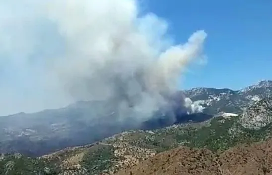 Datça'da orman yangını