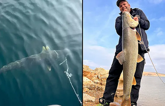 Dev turna görenleri şaşırttı