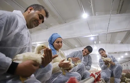 Devletten aldığı destekle çiftlik sahibi oldu şimdi ailece çalışıyorlar