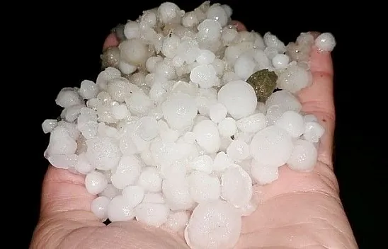 Dolu yağışı bahçelere zarar verdi