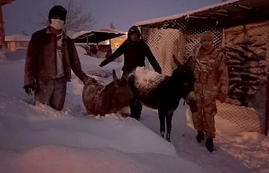 Donmak üzere olan hayvanlar kurtarıldı