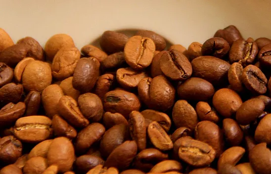 Dünyanın kahvesi Elazığ'dan