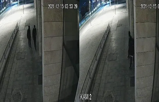 El arabası ile hırsızlık yaptılar