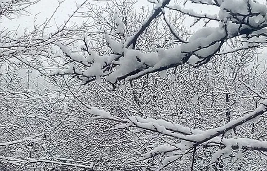 Elazığ'a lapa lapa kar yağdı