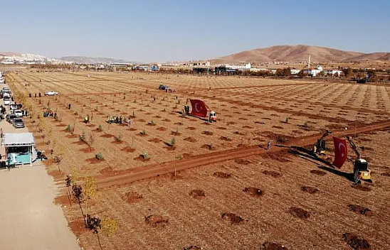 Elazığ'da 23 bin fidan toprakla buluştu