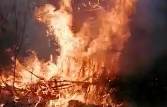 Elazığ'da bahçe yangını