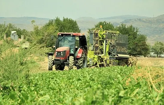 Elazığ'da çiftçiler şeker pancarı mesaisinde