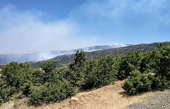 Elazığ'da çıkan orman yangını kontrol altına alındı