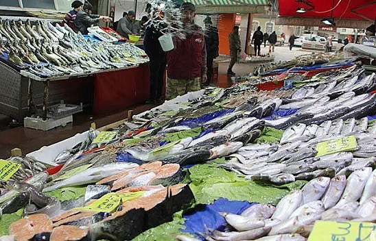 Elazığ'da deniz ile göl balığı rekabeti