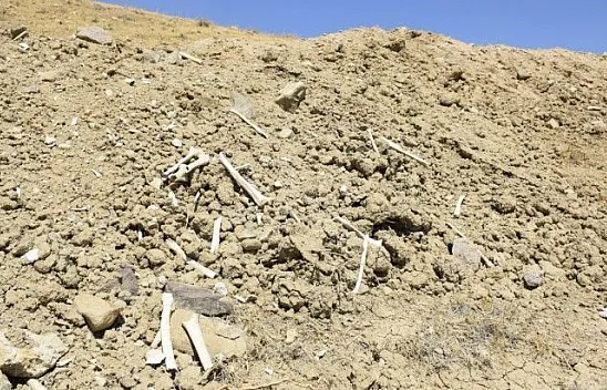 Mezarlıklarda bulunan kemikler ortalığa saçıldı