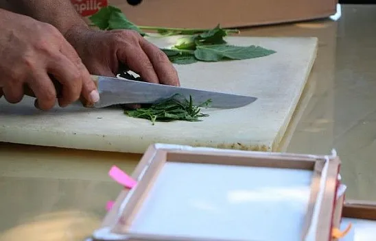 Elazığ'da ipek böcekçiliği yeniden canlanıyor