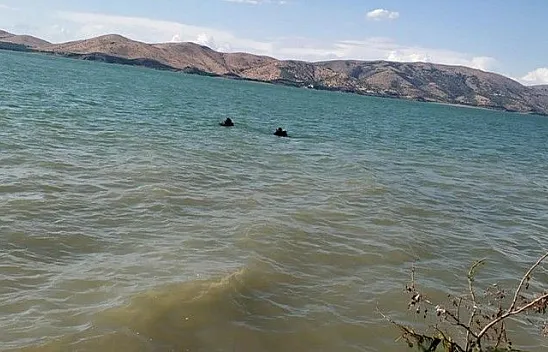 Elazığ'da kahreden olay!