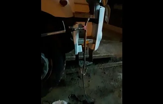 Elazığ'da kamyonun kabininden yılan çıktı