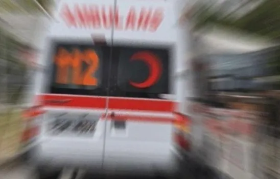 Elazığ'da kene vakası