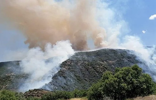 Elazığ'da ormanlık alanda yangın