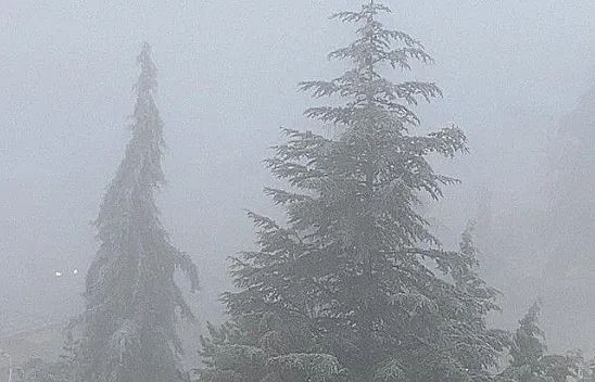 Elazığ'da sis ve buzlanma etkili oldu