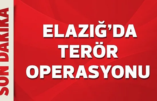 Elazığ'da terör operasyonu