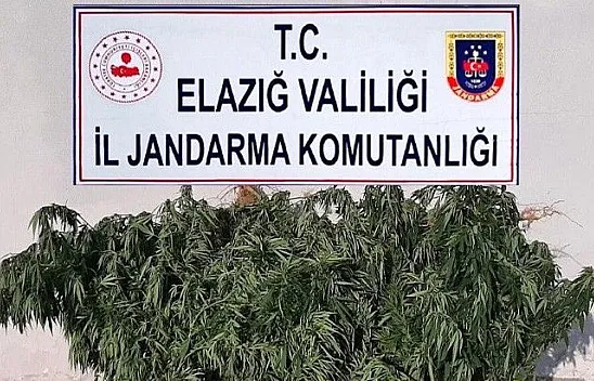 Elazığ'da uyuşturucu operasyonu