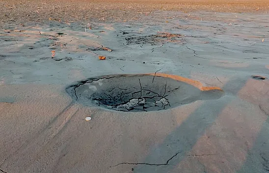 Elazığ'da uzmanları bile şaşırtan olay!