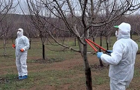 Elazığ'da yaşlıların 'bahçe ve arılarının' bakımı yapıldı
