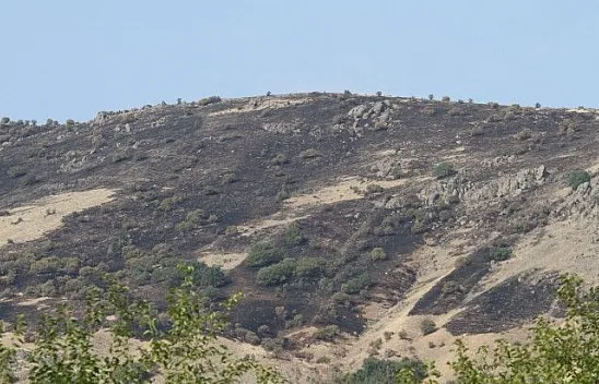 Elazığ'daki  orman yangını söndürüldü