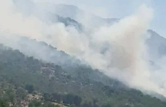 Elazığ'daki yangını söndürme çalışmaları sürüyor