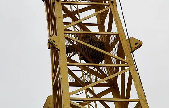 Elazığ'da intihar girişimi