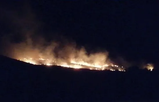 Elazığ'da orman yangını