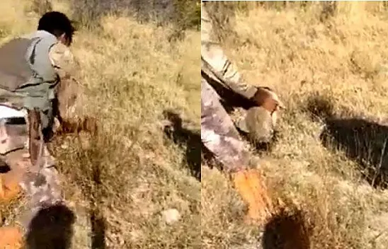 Elleriyle yakaladığı tavşanı geri doğaya saldı