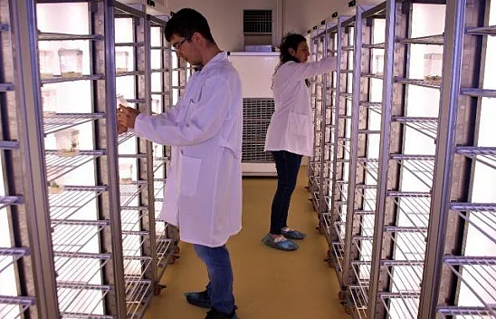 Türkiye'de ilk defa Elazığ'da üretildi!