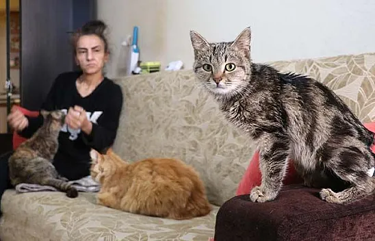 Engelli maaşını 45 kedinin bakımı için harcıyor