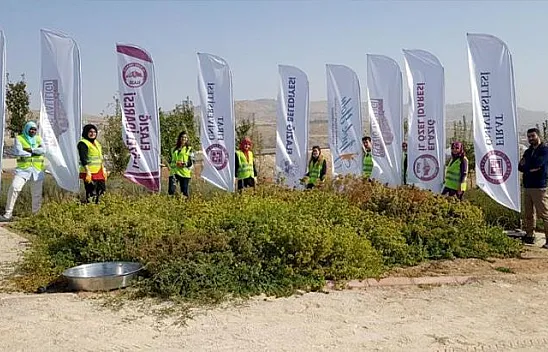 Gençler bitki çayı ve sebze tohumları üretiyor