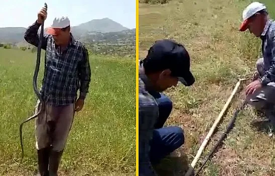 Görenleri hayrete düşüren olay