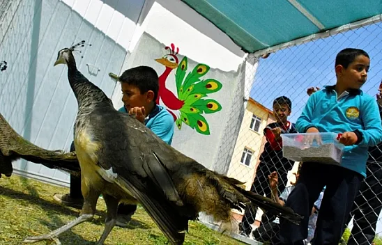 Tarım ve hayvanlarla içe içe eğitim