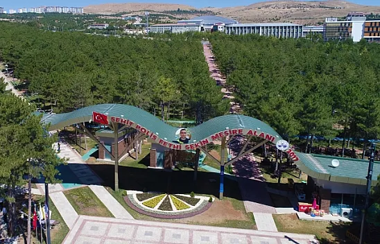 Kişi başına düşen yeşil alan yüzde 150 arttı