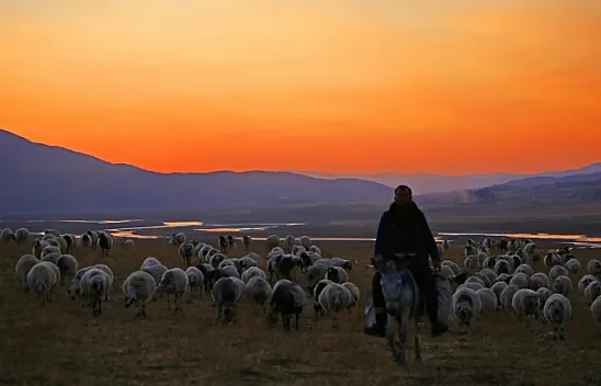 Kışlak için zorlu ve engebeli arazileri aşıyorlar