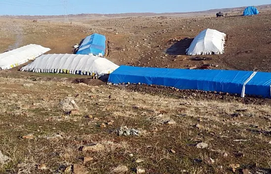 Bakın hayvan barınağından neler çıktı